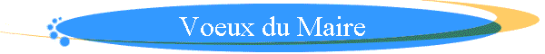Voeux du Maire